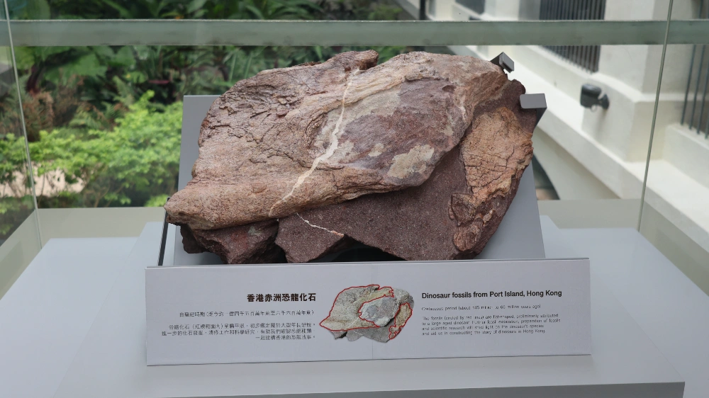 50 个香港文化地景，读懂香江千年历史（上）-002